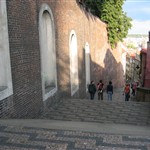 IMG_3017.JPG