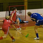 IMG_5550.jpg